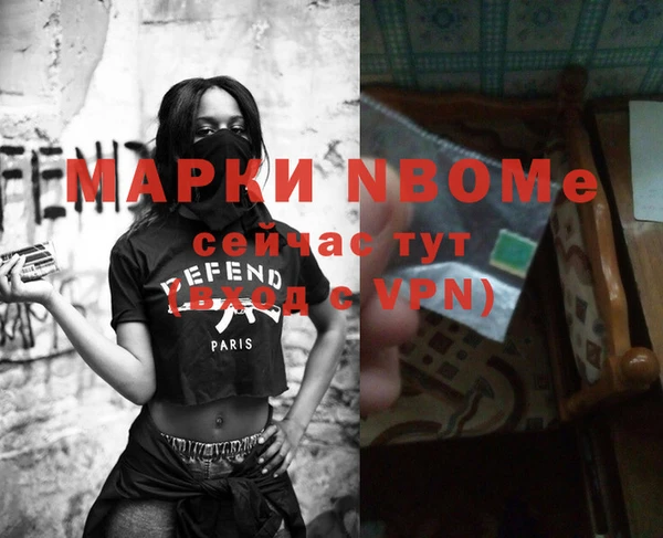 крисы Баксан