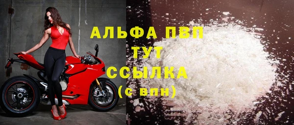 крисы Баксан