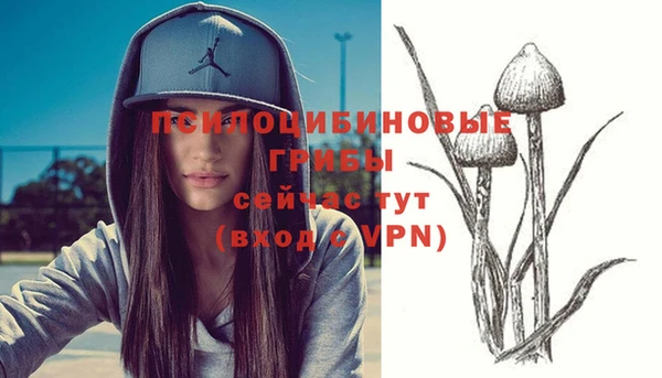 крисы Баксан