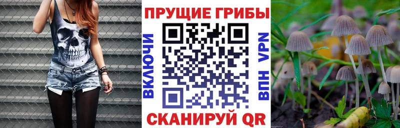 Псилоцибиновые грибы Cubensis  Балахна 